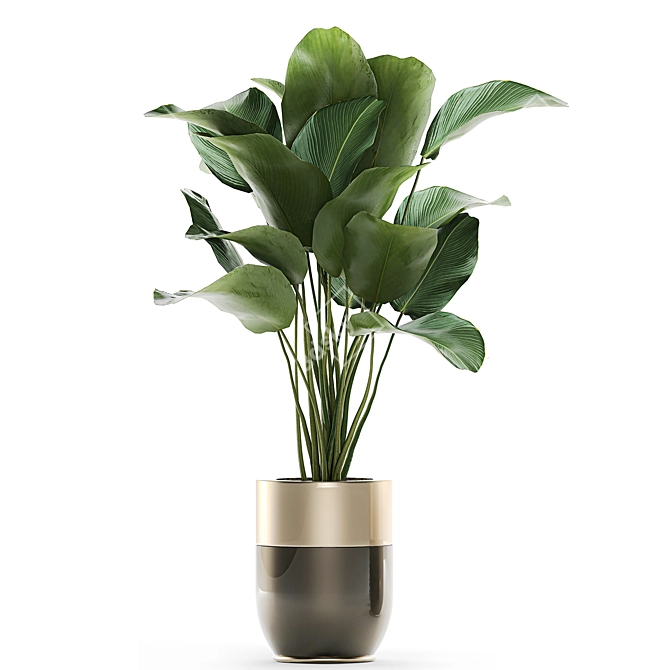 Green Oasis Collection: Exotic Plants in Godwin Longhi Luxury Planter 3D model image 2
