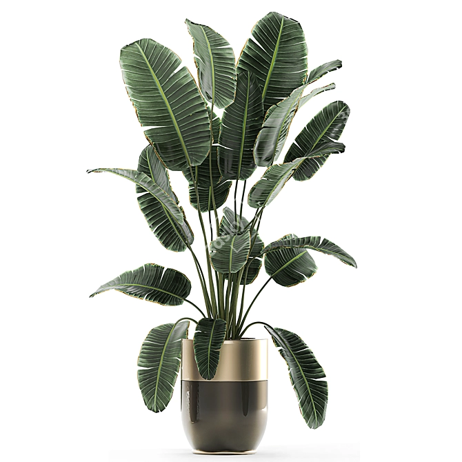 Green Oasis Collection: Exotic Plants in Godwin Longhi Luxury Planter 3D model image 4