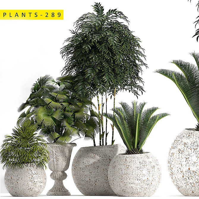 289 Plants: 3ds Max 2015 & OBJ 3D model image 1