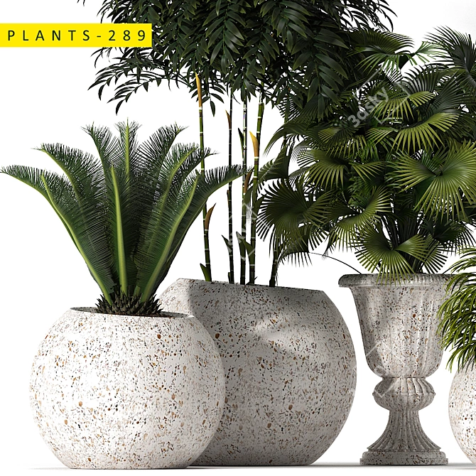 289 Plants: 3ds Max 2015 & OBJ 3D model image 2