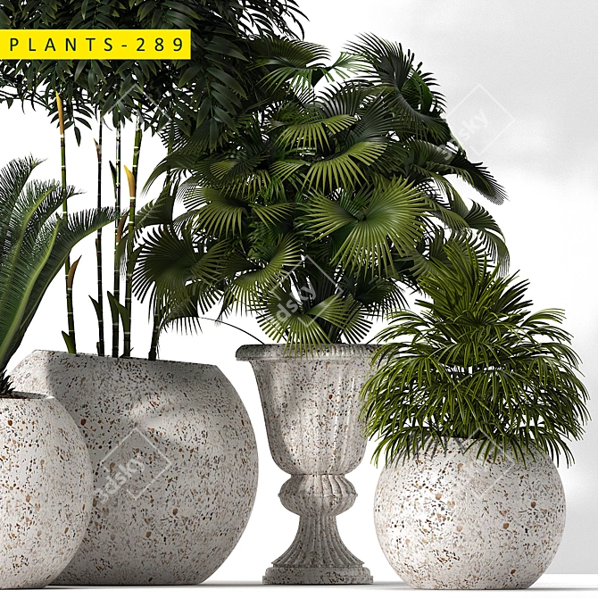 289 Plants: 3ds Max 2015 & OBJ 3D model image 3