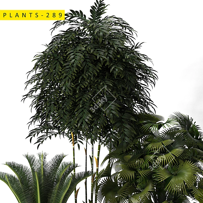 289 Plants: 3ds Max 2015 & OBJ 3D model image 4