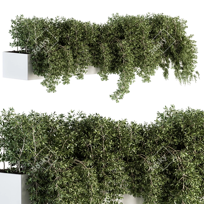 Ivy Box-Set: Outdoor Greenery 3D model image 1