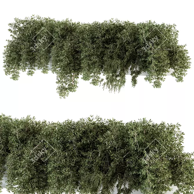 Ivy Box-Set: Outdoor Greenery 3D model image 2