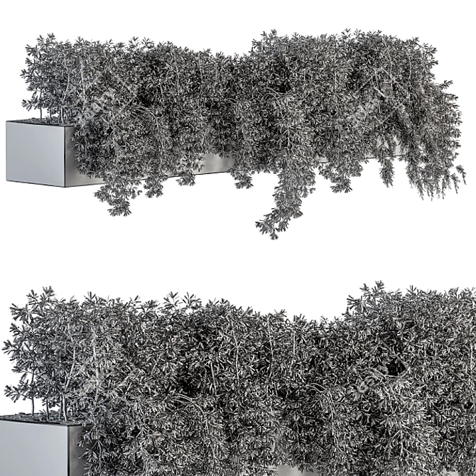 Ivy Box-Set: Outdoor Greenery 3D model image 5