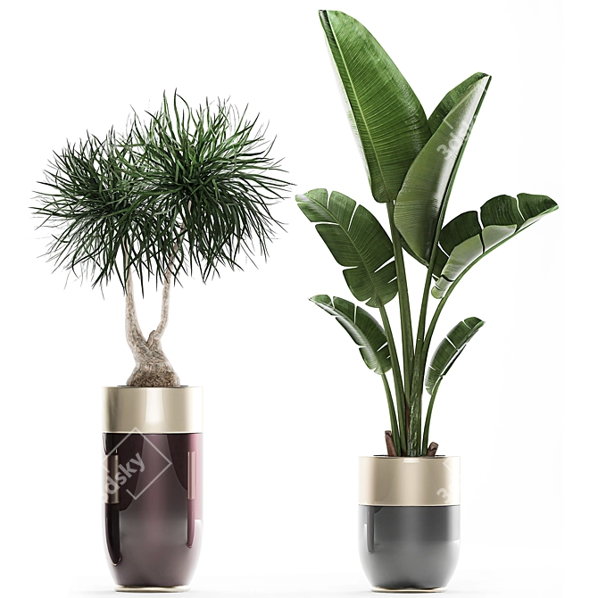 Exotic Plant Collection for Indoor and Outdoor Décor 3D model image 4