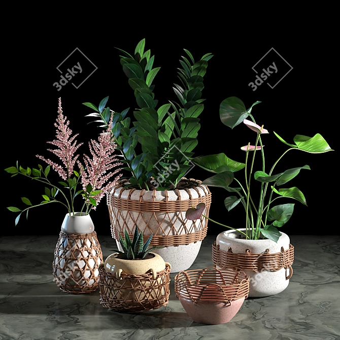 Woven Plant Set for Interior Decoration 3D model image 1