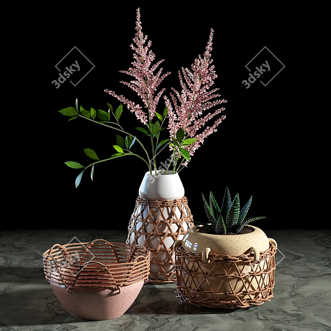 Woven Plant Set for Interior Decoration 3D model image 2