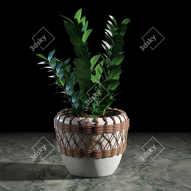 Woven Plant Set for Interior Decoration 3D model image 4