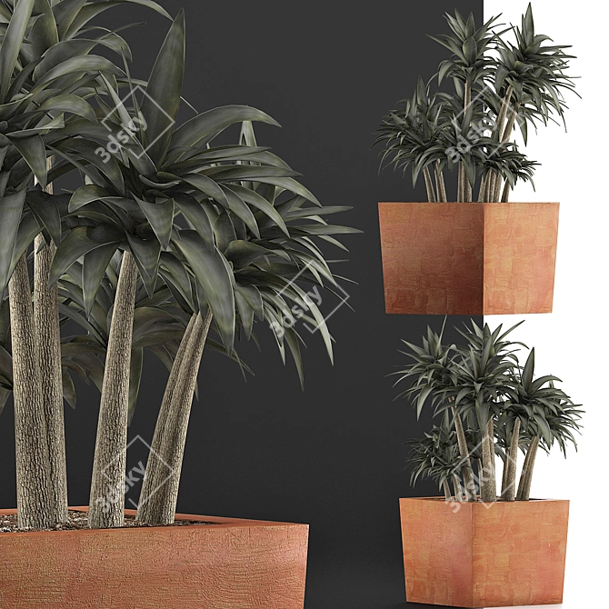 84 Exotic Desert Plants Collection 3D model image 2