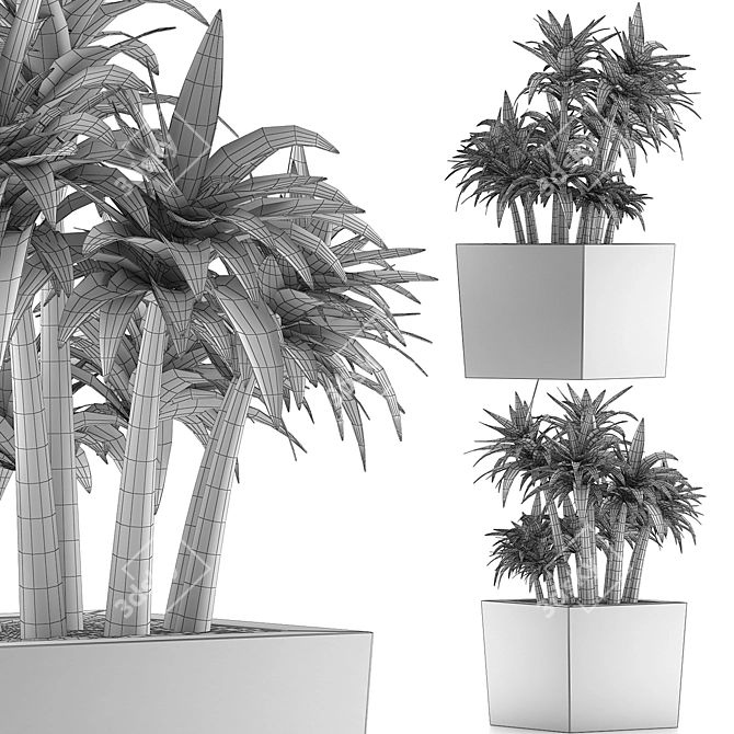 84 Exotic Desert Plants Collection 3D model image 5