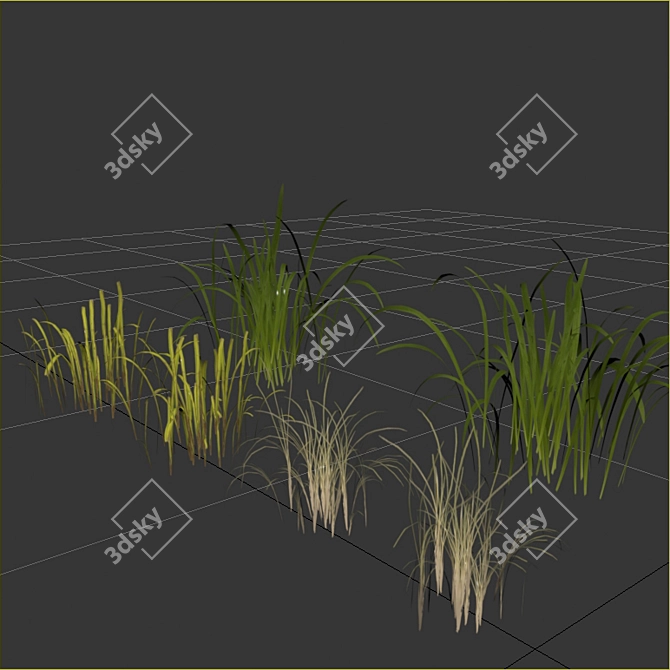 Natural Forest Grass Collection 3D model image 5