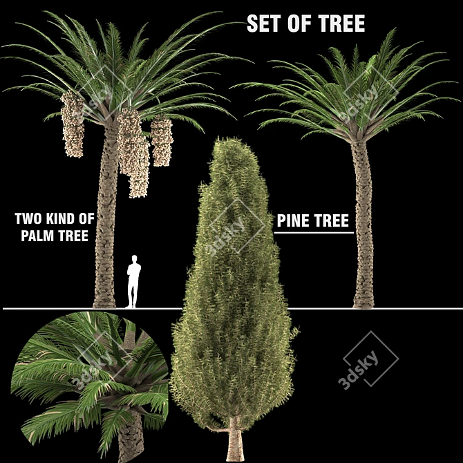 Trio Tree Set: Palm & Pine 3D model image 1