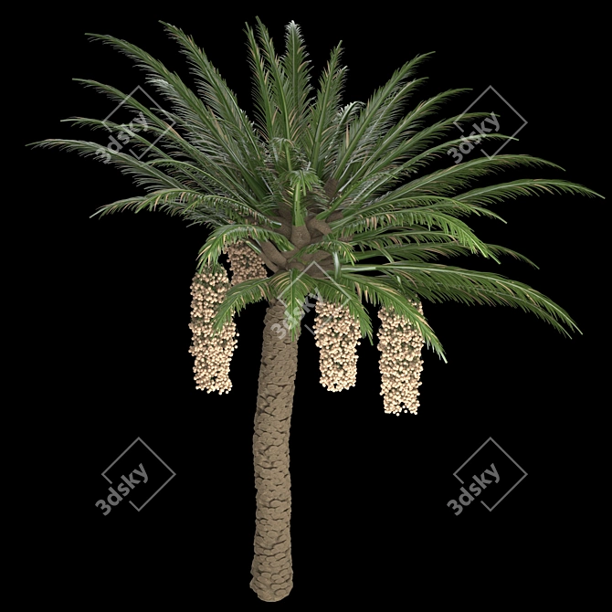 Trio Tree Set: Palm & Pine 3D model image 2