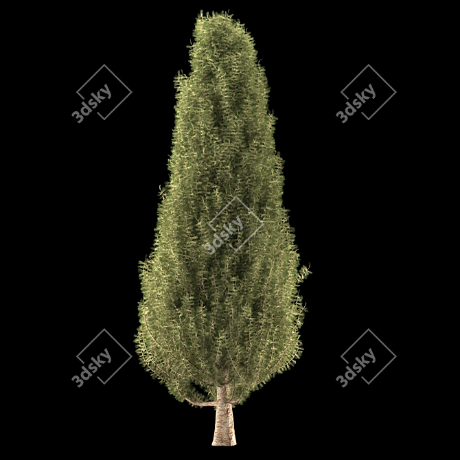 Trio Tree Set: Palm & Pine 3D model image 4