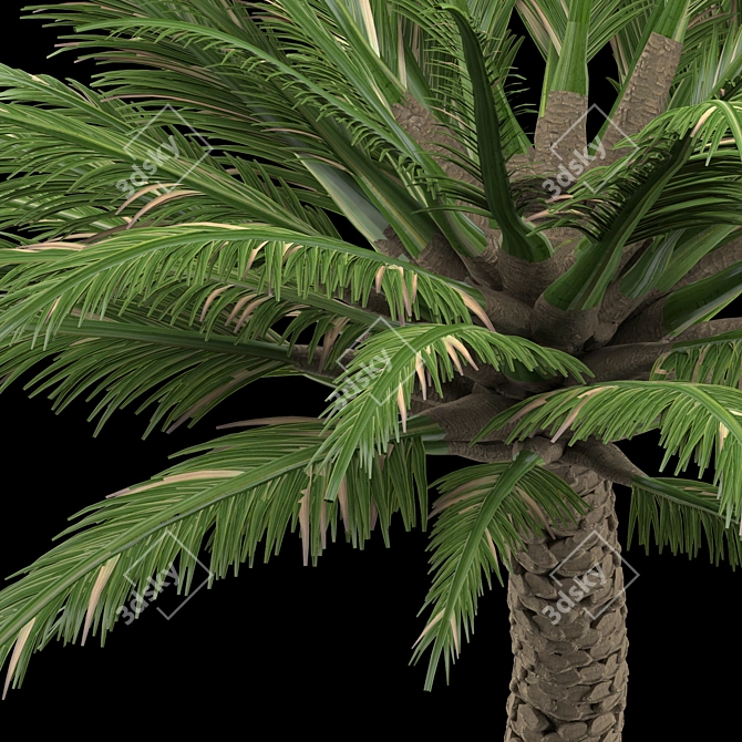 Trio Tree Set: Palm & Pine 3D model image 5