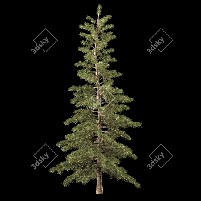 Trio Tree Set: Palm & Pine 3D model image 6