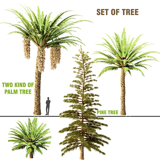 Trio Tree Set: Palm & Pine 3D model image 8