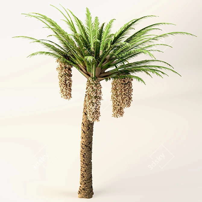 Trio Tree Set: Palm & Pine 3D model image 9