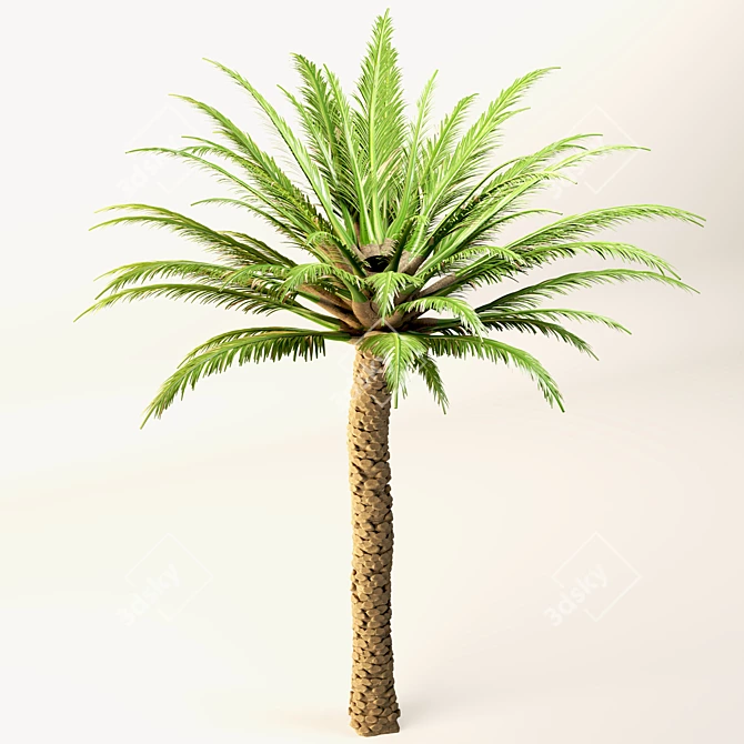 Trio Tree Set: Palm & Pine 3D model image 10