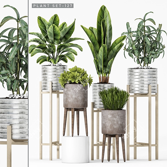 Elegant Plant Set for Home 3D model image 1