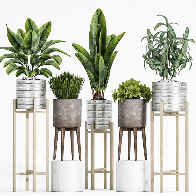 Elegant Plant Set for Home 3D model image 2