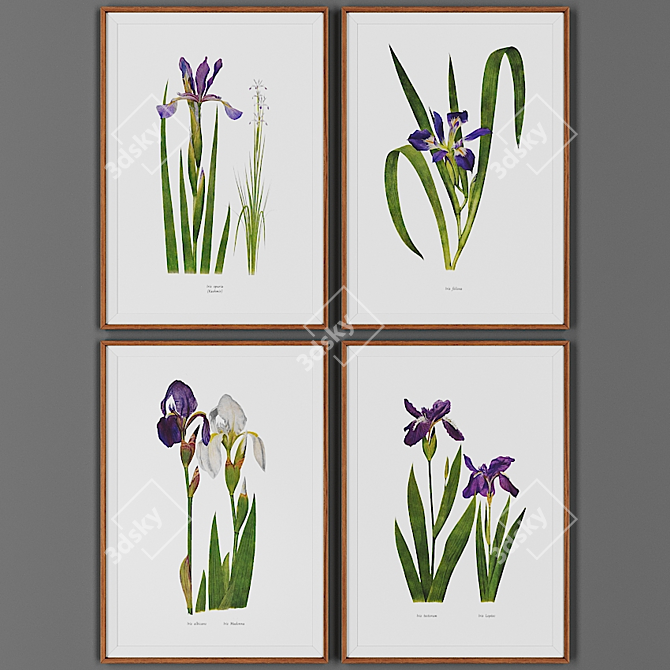 Wooden Framed Picture Set 3D model image 1