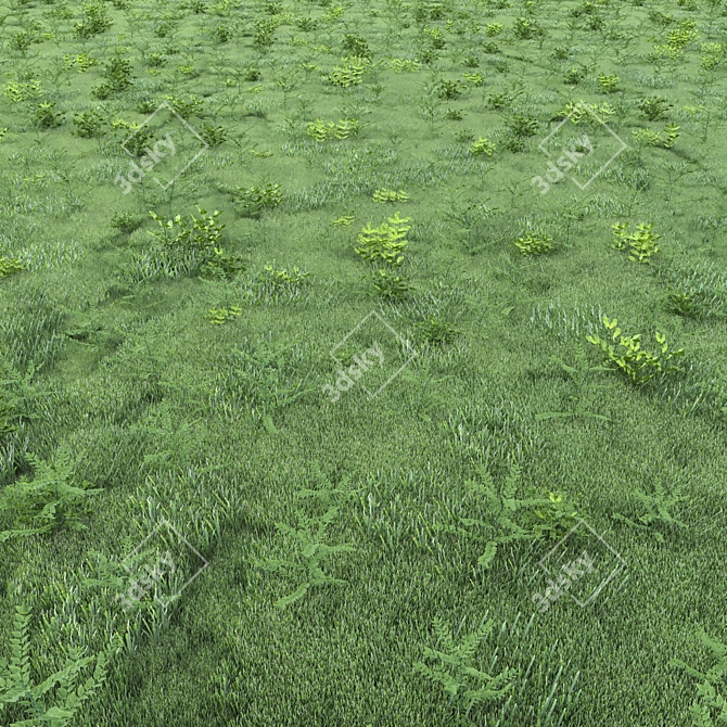 Lush Green Grass for Landscapes 3D model image 1