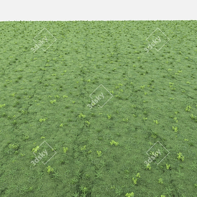 Lush Green Grass for Landscapes 3D model image 2