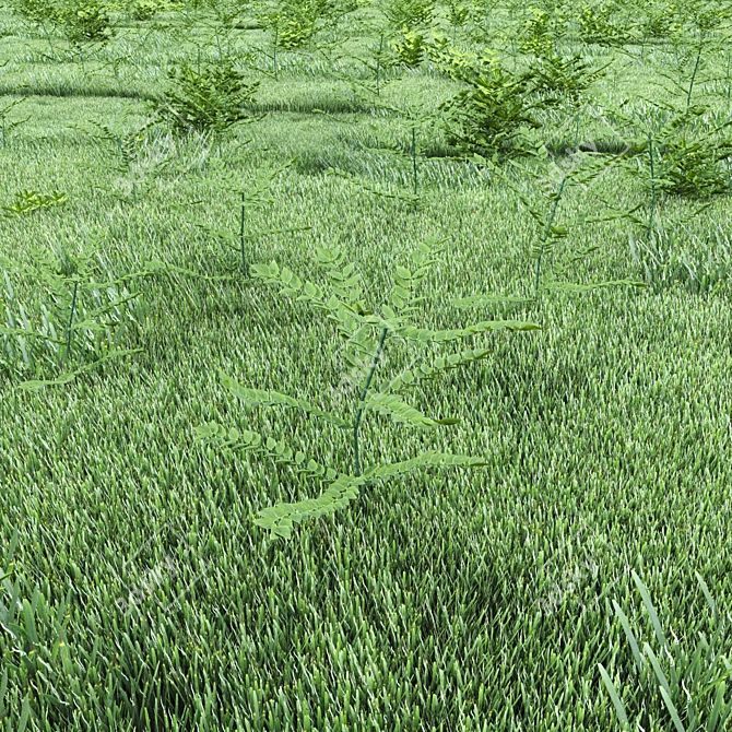 Lush Green Grass for Landscapes 3D model image 3