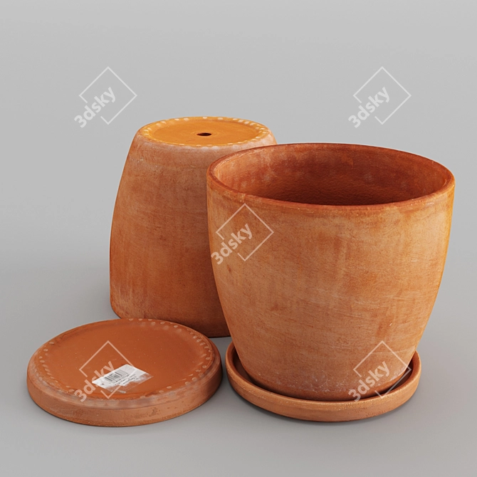 3D Scanned Pot Set 3D model image 3