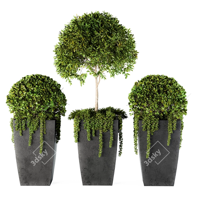 Artificial Boxwood Topiary - Set 75 3D model image 2