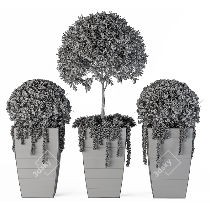 Artificial Boxwood Topiary - Set 75 3D model image 5