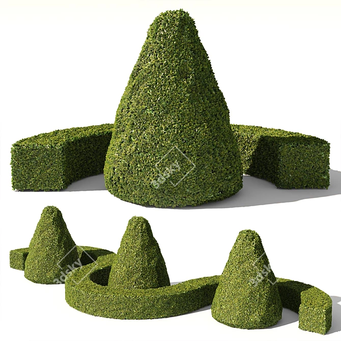 Evergreen Buxus Sempervirens: Stunning Conical & Arc Designs 3D model image 1