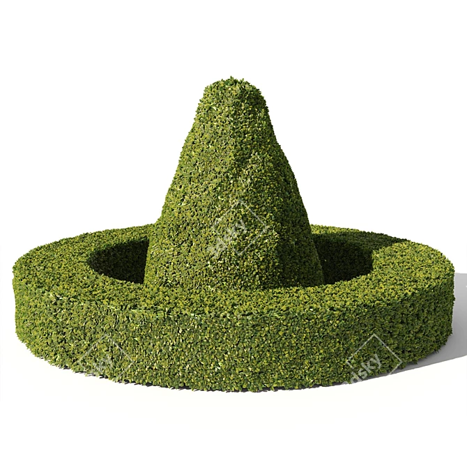 Evergreen Buxus Sempervirens: Stunning Conical & Arc Designs 3D model image 2