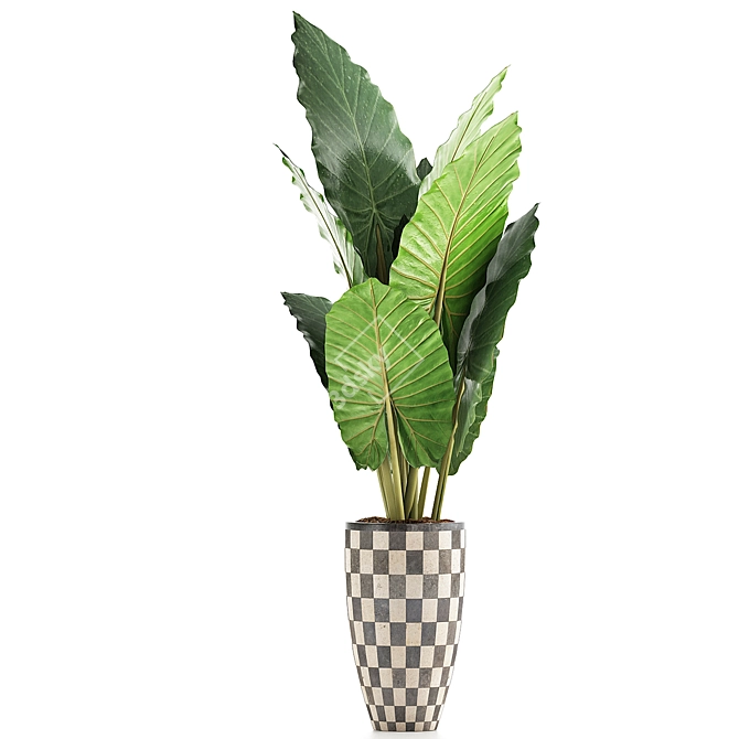 Exotic Jungle Treasures: Alocasia Plant Collection 3D model image 2