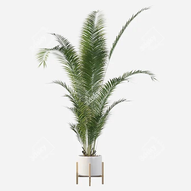 Tropical Paradise: Areca Palm Collection 3D model image 4