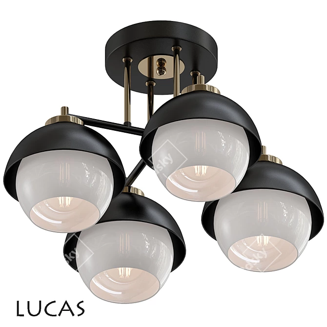 Lucas 2013 - High-Quality 3D Model 3D model image 1