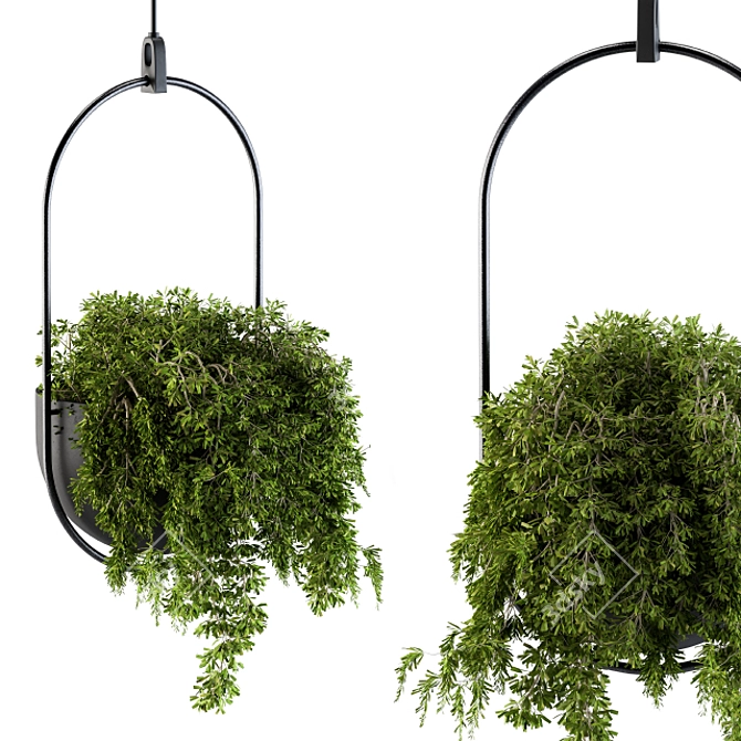 Vibrant Hanging Box Plant Set 3D model image 1