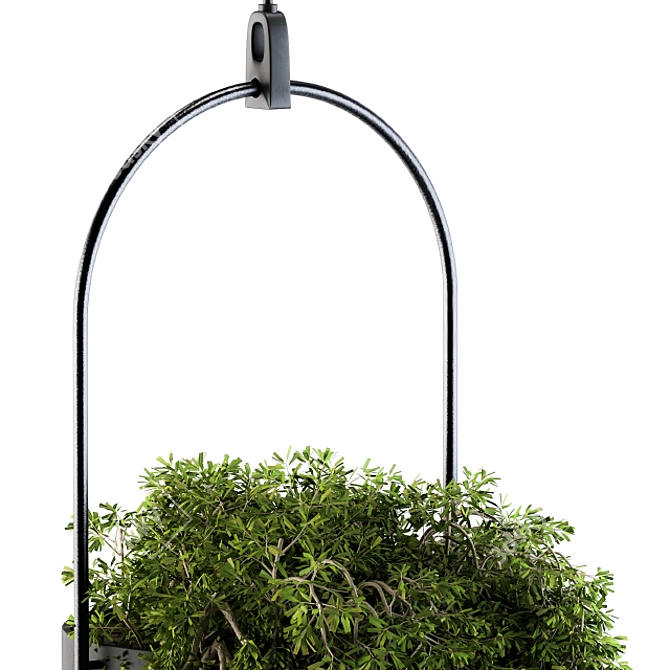 Vibrant Hanging Box Plant Set 3D model image 3