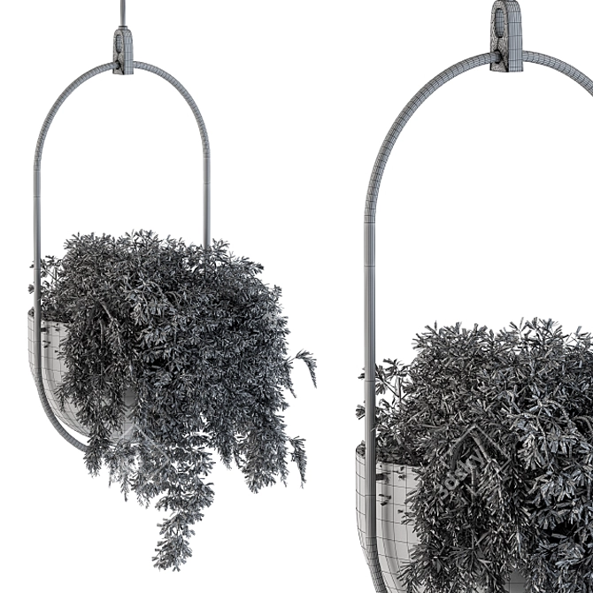 Vibrant Hanging Box Plant Set 3D model image 4