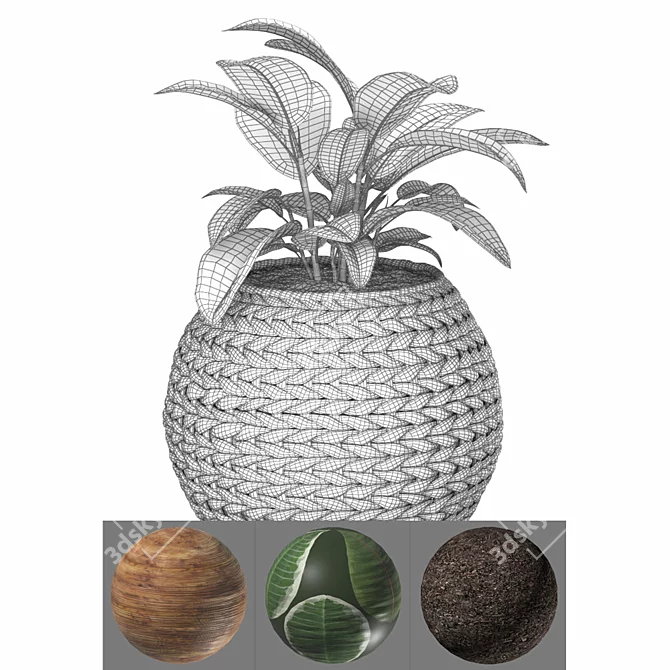 Natural Ficus in Wicker Basket 3D model image 5