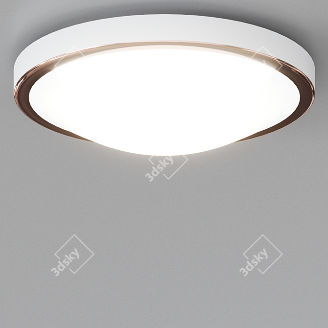 OSAKA Opal Glass Steel Ceiling Light 3D model image 5