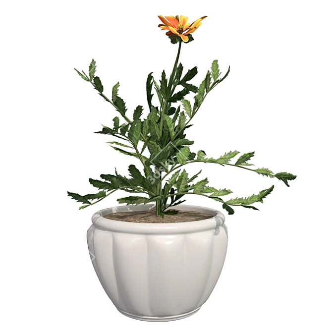 Marigold Bloom: Hand-painted Potted Beauty 3D model image 2