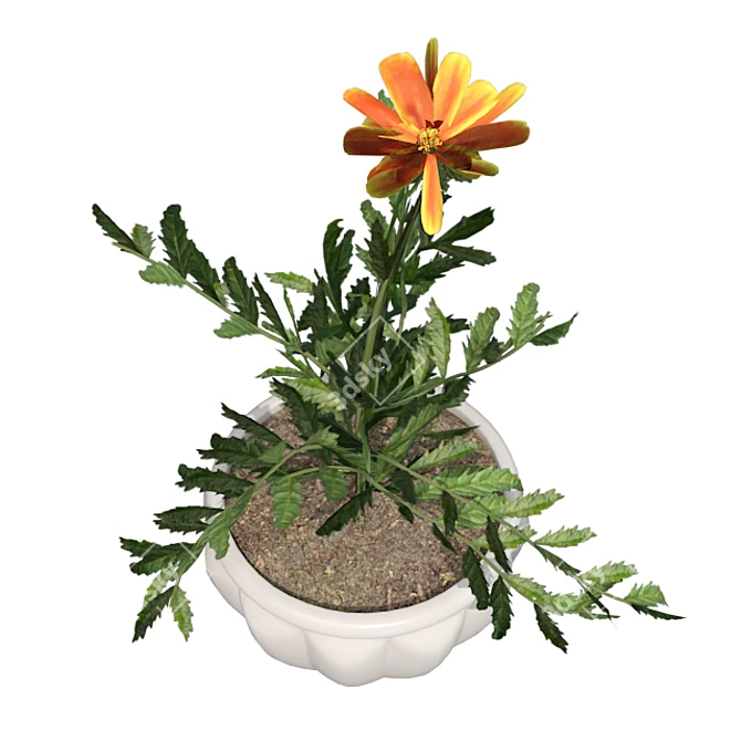 Marigold Bloom: Hand-painted Potted Beauty 3D model image 3