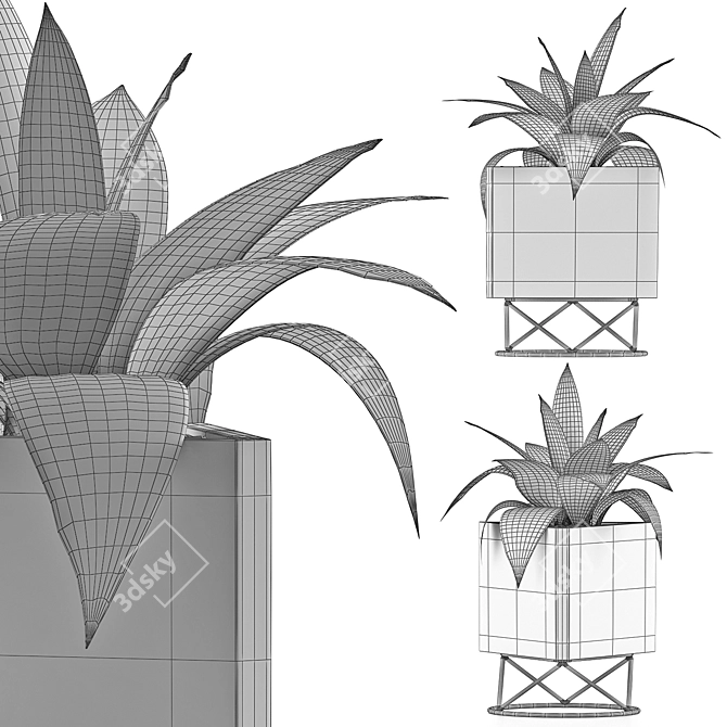 Agave Collection: Clean Geometry, Detailed Texture 3D model image 5