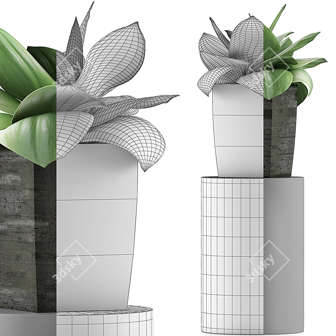 96 Agave Plant Collection: Clean Geometry, Perfect for Detail 3D model image 3