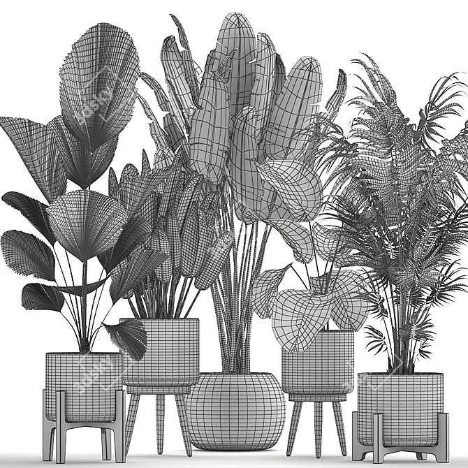 Tropical Plant Paradise: Indoor & Outdoor Plant Collection 3D model image 5