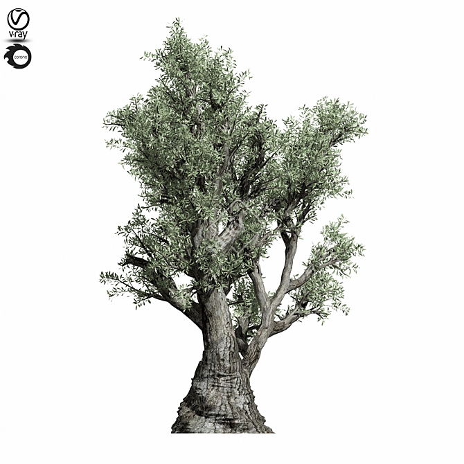  Majestic Olive Tree Sculpture 3D model image 3