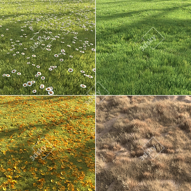 Eternal Verdure: Four Seasons Grass 3D model image 1